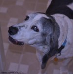 DSC_7311.jpg