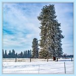 1-DSC_7073.jpg