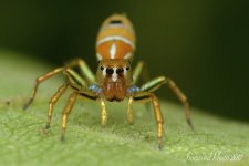 DSC_4495.jpg