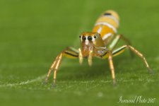 DSC_4516.jpg