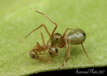 DSC_4572.jpg
