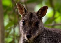 DSC_4609 (1).jpg