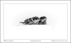 birdy-bw-1.jpg