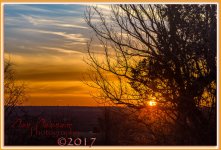 Hazy Morning-0947-Edit.jpg