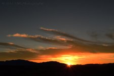 2-16-17-cr_DSC_4836.jpg