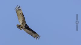 DH7_6294-2.jpg