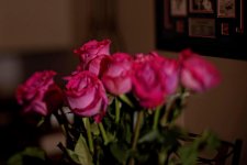DSC_9480_DxO_Dxdb.jpg