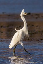 DSC_1679.jpg