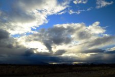 2-19-17-cr_DSC_4854.jpg