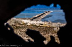 Antelope Island Causeway with Buffalo Stencil 2-19-2017.jpg