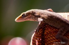 D73_0600.jpg
