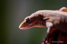 D73_0601.jpg