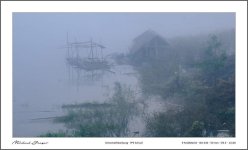 foggy-1.jpg
