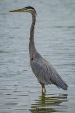 DSC_0063-2.jpg