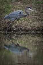 DSC_0067-2.jpg