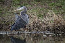 DSC_0094-2.jpg