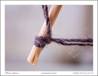 close-ups3-3.jpg