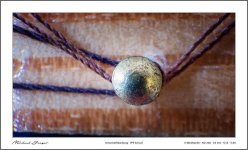 close-ups3-4.jpg