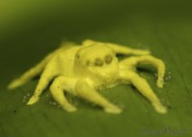 DSC_4465.jpg