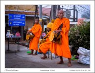 monks-collect-their-alms2-3.jpg