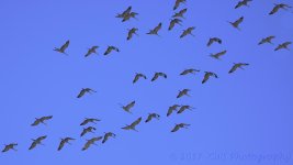 2-23-17-cr__D7K5815.jpg