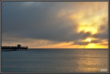 _71D7947.jpg