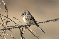 2-24-17-cr__D7K5818.jpg