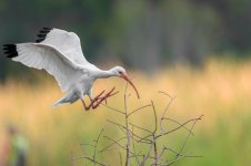 Lake Parker, Lakeland,FL-.jpg