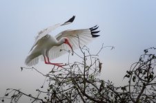 Lake Parker, Lakeland,FL--2.jpg