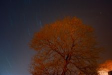 DSC_3635-1.jpg