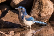 DSC_3278.jpg