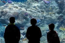 Tampa Aquarium-0919.jpg