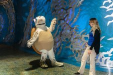 Tampa Aquarium-0945.jpg