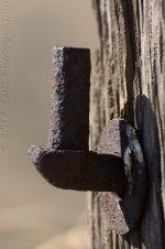 2-25-17-cr__D7K5828.jpg