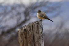 2-26-17-cr__D7K5837.jpg