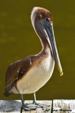 DSC_8446.jpg