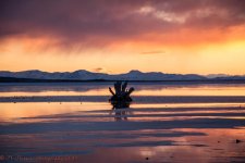 Sunset on Antelope Island Causeway #3 2-27-2017.jpg