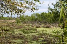 CircleB_Landscape_06.jpg