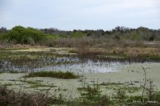 CircleB_Landscape_07.jpg