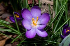 DSC_4014-1.jpg