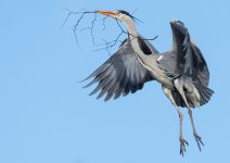 DSC_0425.jpg