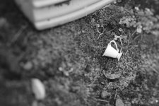Lensbaby Edge 80,Nikon D7100.jpg