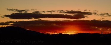 2-28-17-cr_DSC_4864.jpg