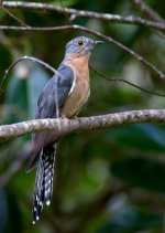 DSC_4993.jpg