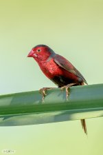 20170301-DSC_4953.jpg
