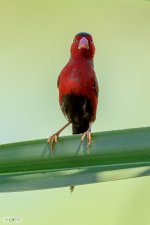 20170301-DSC_4960.jpg