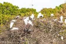 DSC_0426.jpg
