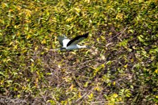 DSC_0519.jpg
