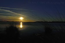 3-2-17-cr_DSC_4872.jpg