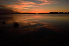 3-2-17-cr_DSC_4900.jpg